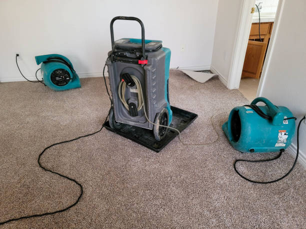 Best Commercial water damage restoration  in Ridgely, TN