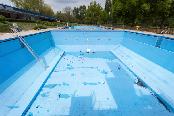 Best Water damage contractors near me  in Ridgely, TN