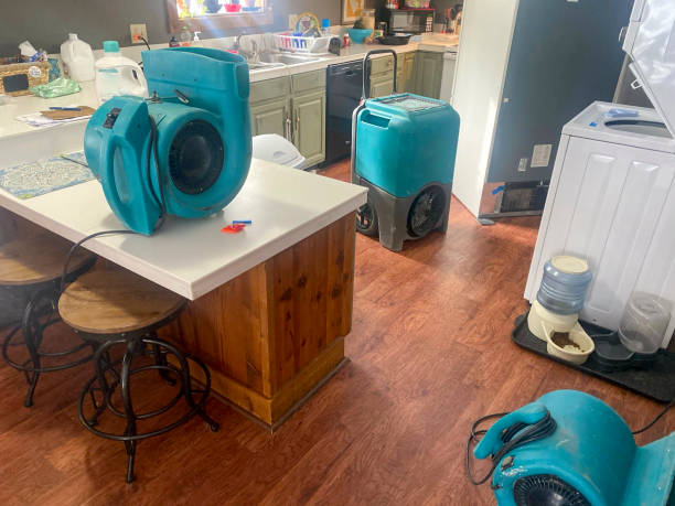 Best Water damage restoration near me  in Ridgely, TN