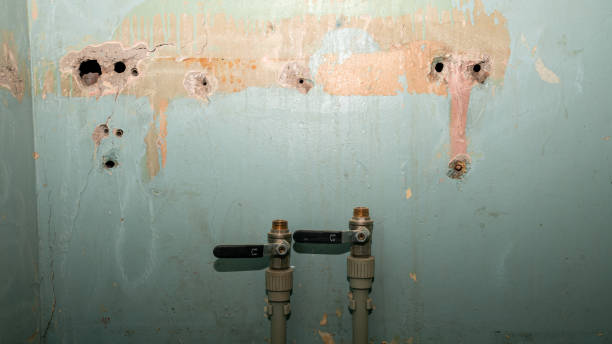 Sewage cleanup and water damage restoration in Ridgely, TN
