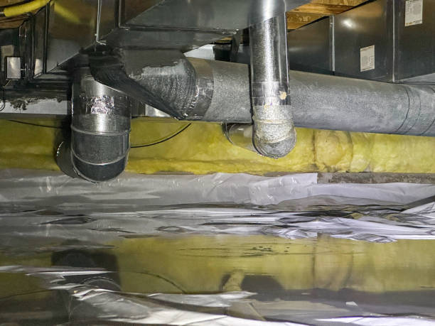 Best Basement water damage restoration  in Ridgely, TN