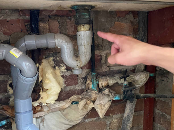  Ridgely, TN Water damage restoration Pros